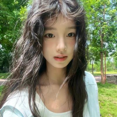 真假维梅尔